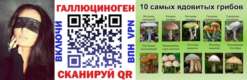Псилоцибиновые грибы Psilocybe  Гаджиево 