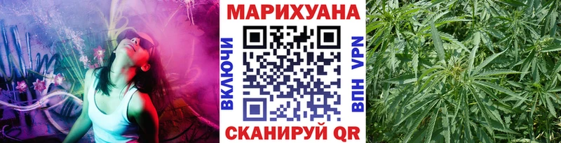 купить  сайты  Гаджиево  OMG ссылка  Бошки марихуана Amnesia 